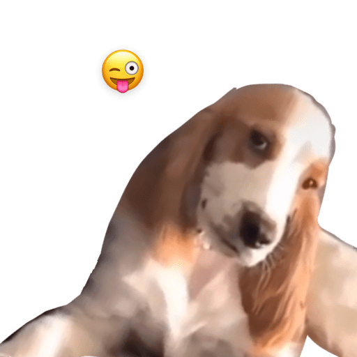 2021 8