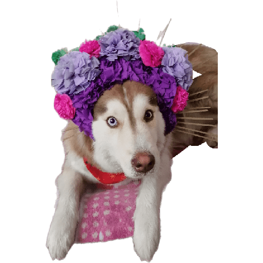 Sticker Image