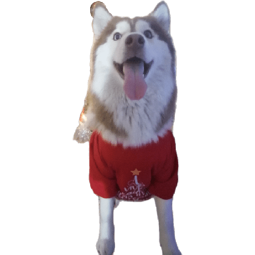 Sticker Image