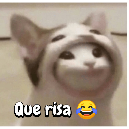 ✨🌺🌷gatitos random mix 🌼🌻🐱 12
