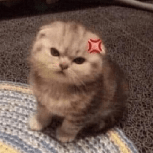✨🌺🌷gatitos random mix 🌼🌻🐱 28