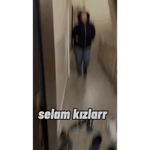 Samolepka