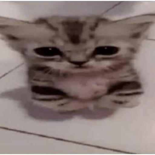 Hehehe 22