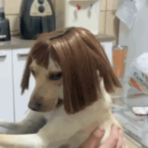 Pipoca animadas 3