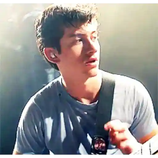 Arctic monkeys 1 26