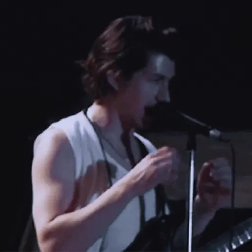 Arctic monkeys 1 11