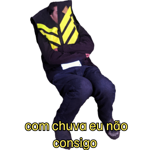 Minhas figurinhas 15