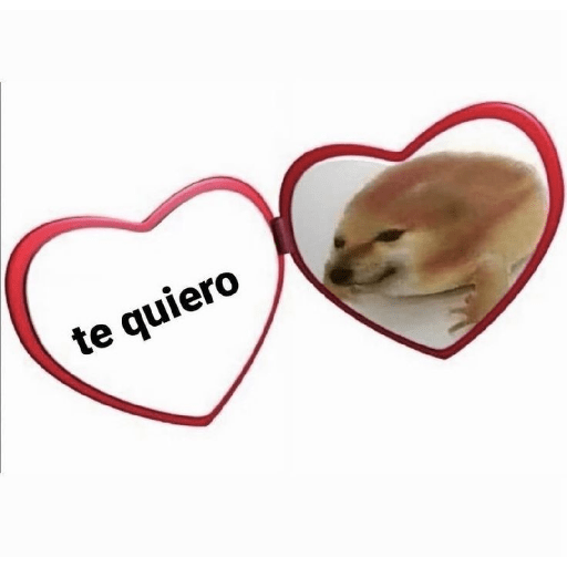 Weas cursis 23