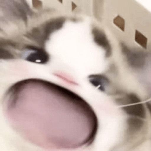 Weas cursis 4