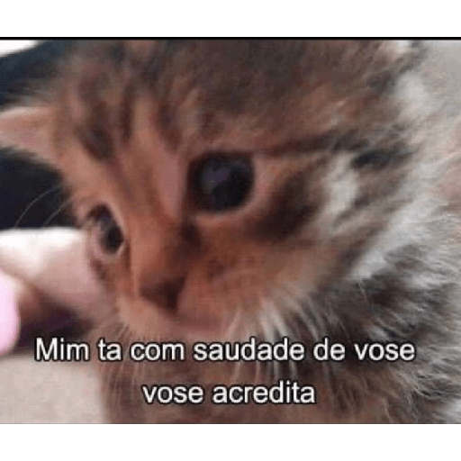 Lobisomem pidão 20