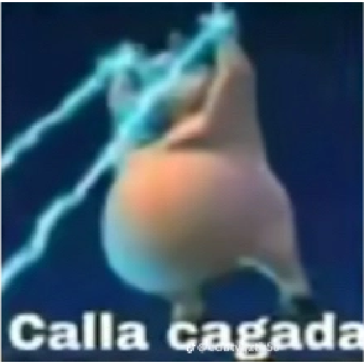 Momentos XD 8