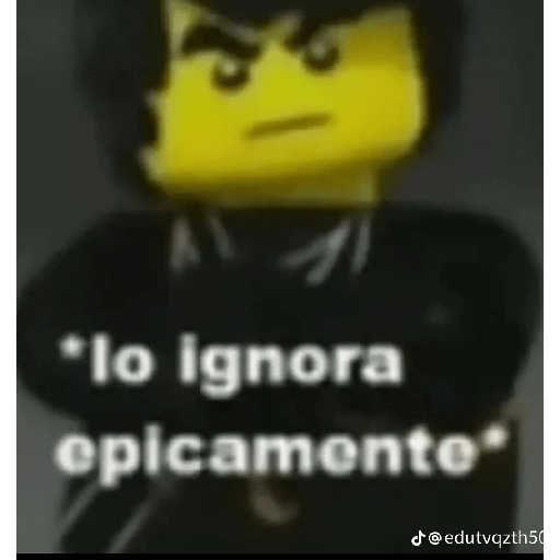 Momentos XD 7