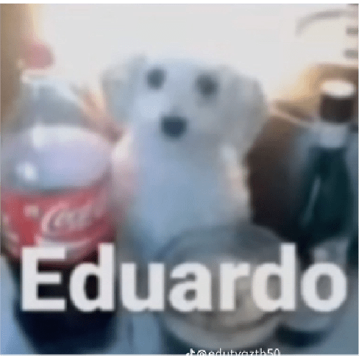 Momentos XD 2