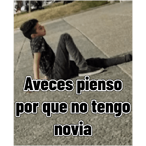 Momentos XD 15
