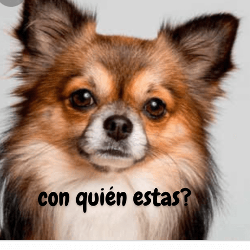 Soy un bebe  27