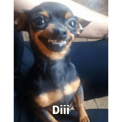Soy un bebe  15
