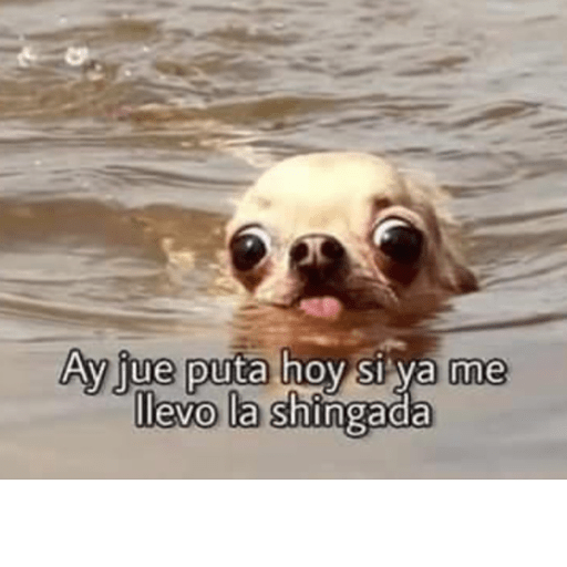 Soy un bebe  3