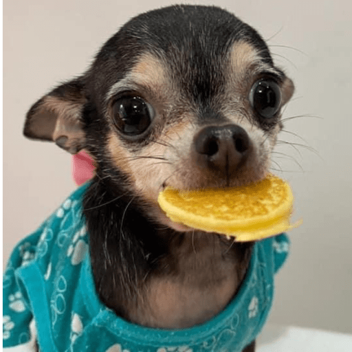 Soy un bebe  2