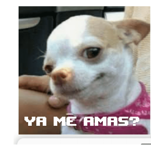 Soy un bebe  14