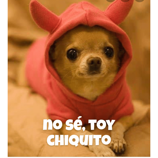 Soy un bebe  19