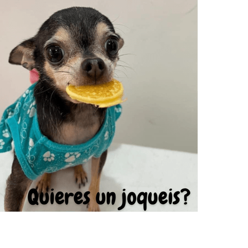 Soy un bebe  9