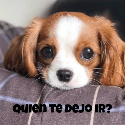 Soy un bebe  25