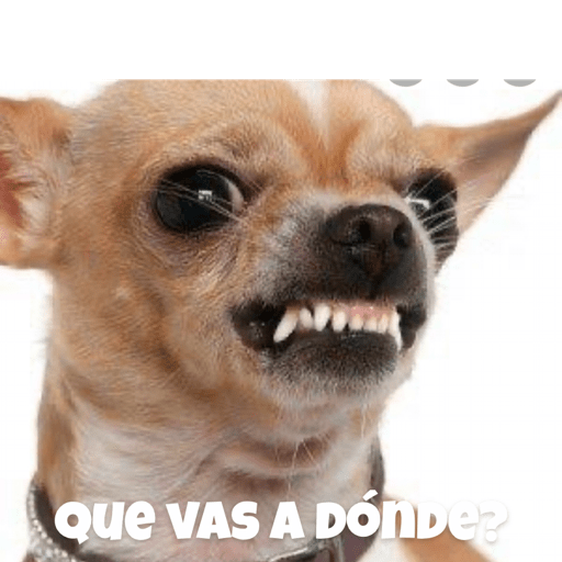 Soy un bebe  17