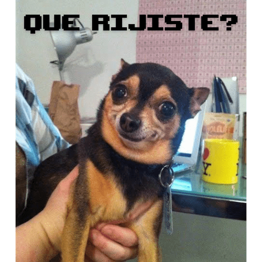 Soy un bebe  13