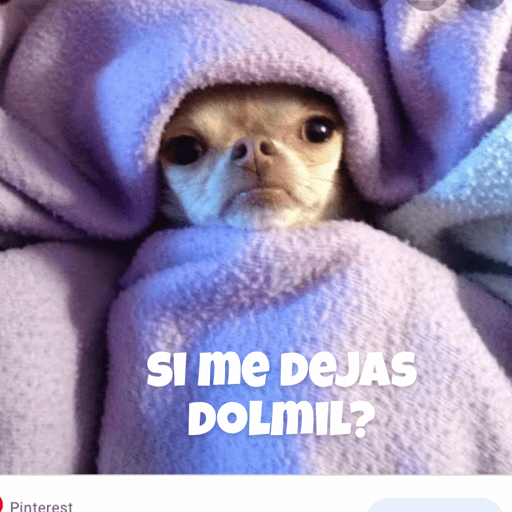 Soy un bebe  22