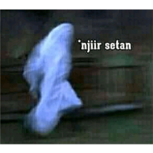 Dorla anjing 11