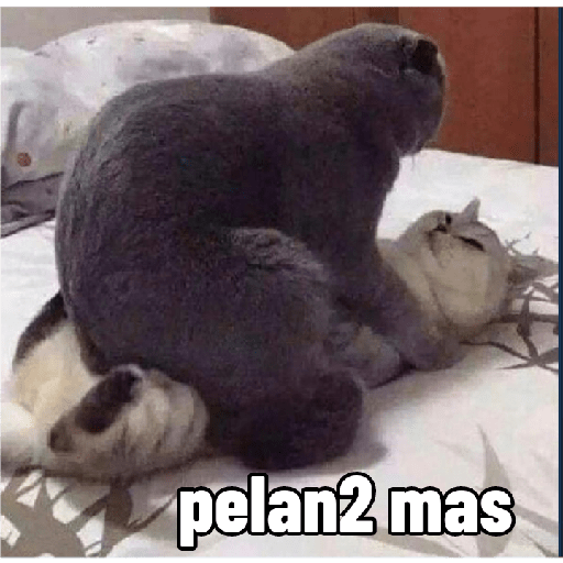 Hehe 4