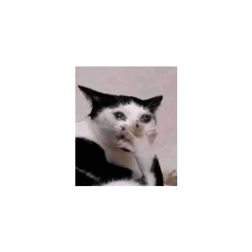 Lol 3
