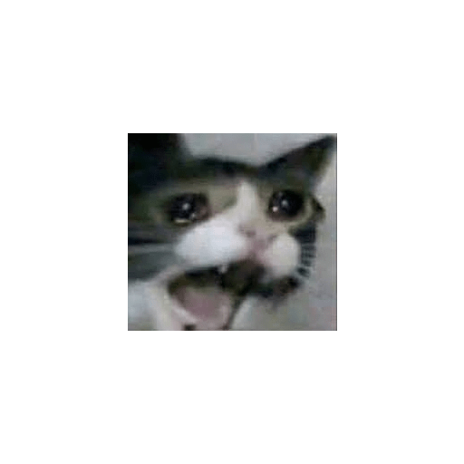 Lol 4