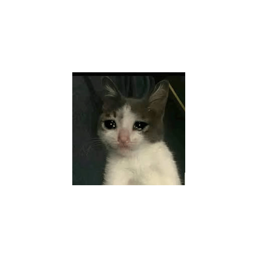 Lol 7