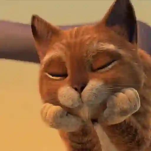 Gatito 😺😻