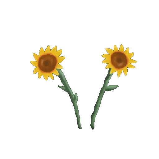 Girasoles🌻🌻