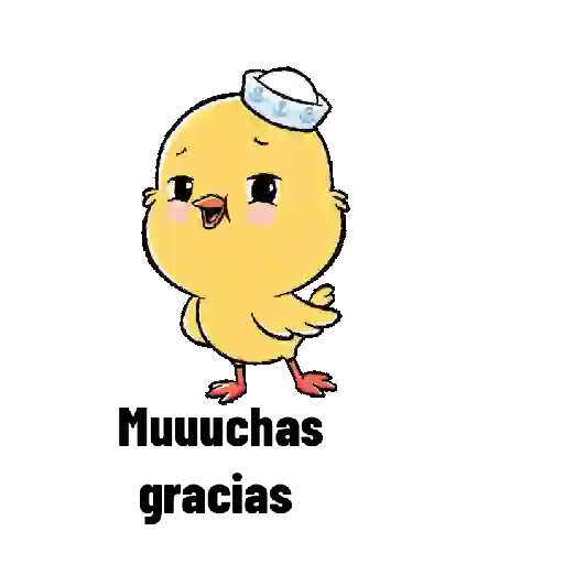 Pollito _kiki_ cute❤️🐥 17