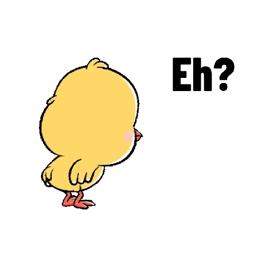 Pollito _kiki_ cute❤️🐥 5