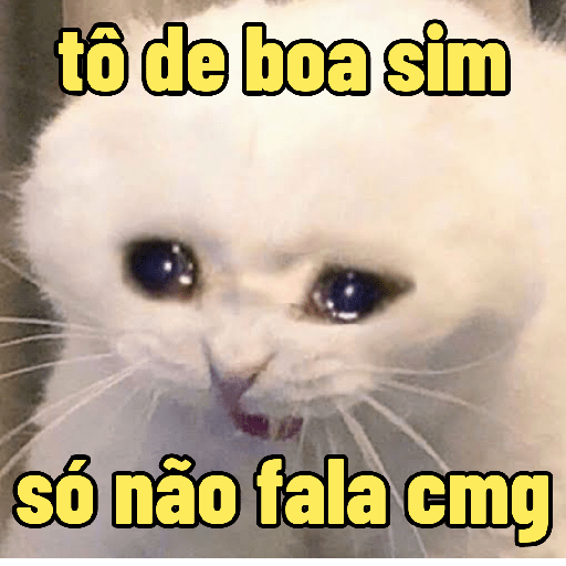 Memes de animais 🥰 14