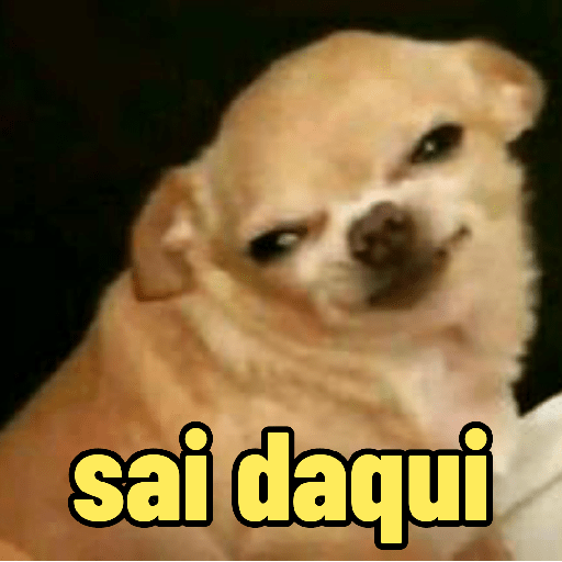 Memes de animais 🥰 15