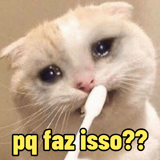 Memes de animais 🥰 16