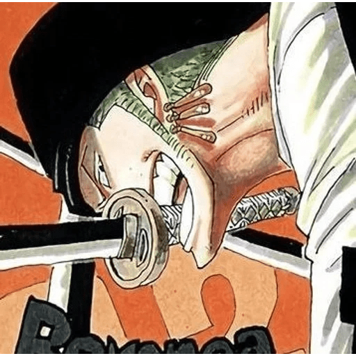 Roronoa Zoro⃝🍺 17