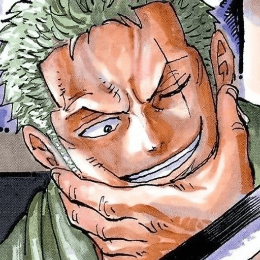 Roronoa Zoro⃝🍺 20