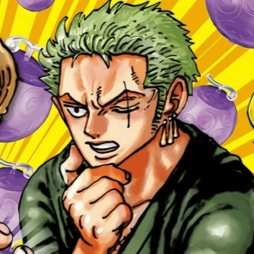 Roronoa Zoro⃝🍺 25