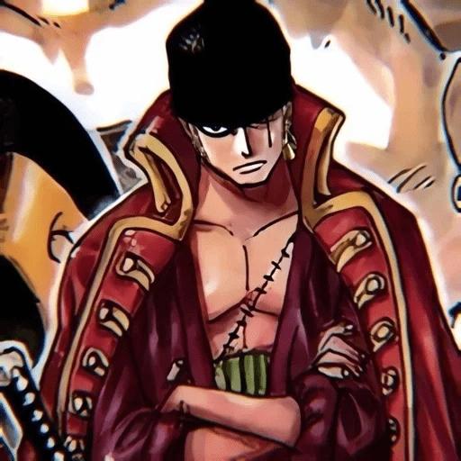 Roronoa Zoro⃝🍺 26