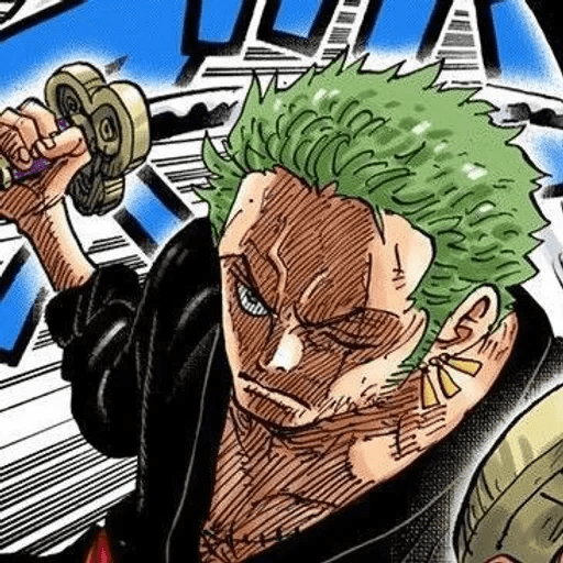 Roronoa Zoro⃝🍺 28
