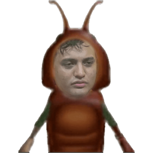 Moral novo 22