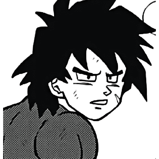 Broly  13