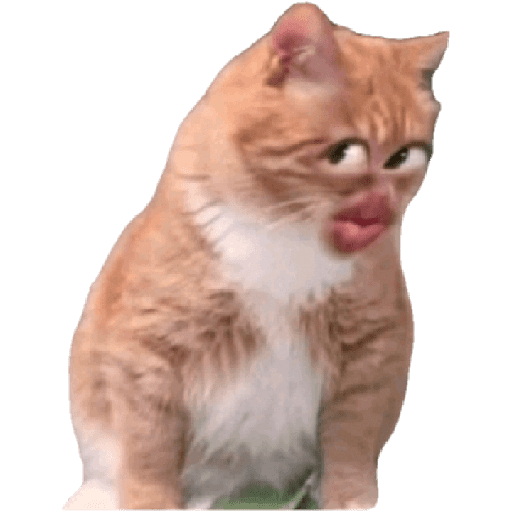 Kucing reog part 2 21