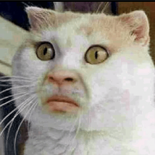 Kucing reog part 2 18